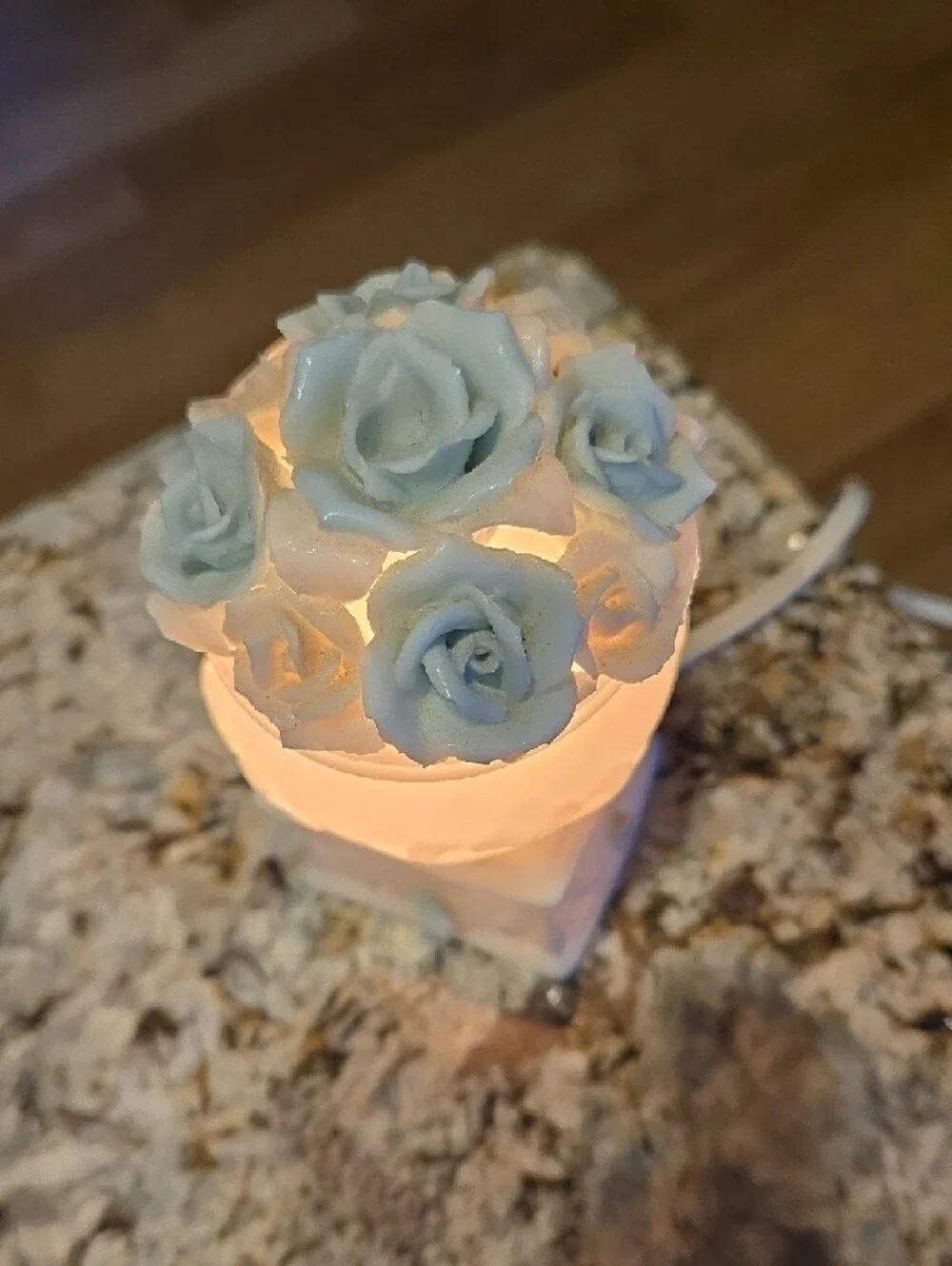 NIGHT LIGHT ▪︎ Vintage Porcelain Floral Electric- White with Pale Blue Roses